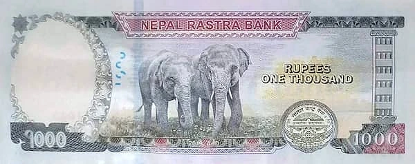 1000 Rupees
